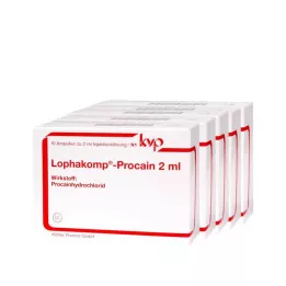 LOPHAKOMP Procain 2 ml injection solution, 50x2 ml