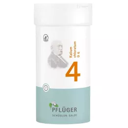 BIOCHEMIE Pflüger 4 Kalium chloratum D 6 tablets, 400 pcs