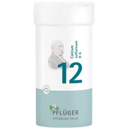 BIOCHEMIE Pflüger 12 calcium sulfuricum d 6 powder, 100 g