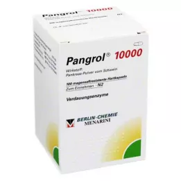 PANGROL 10,000 hard capsules with enteric coated pellets, 100 pcs
