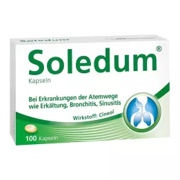 SOLEDUM 100 mg gastro-resistant capsules, 100 pcs