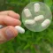MELISSEN BASIC TABLETS, 250 pcs