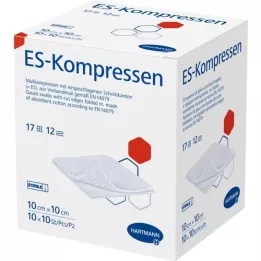 ES-KOMPRESSEN Steril 10x10 cm 12 times large pack, 10x10 pcs