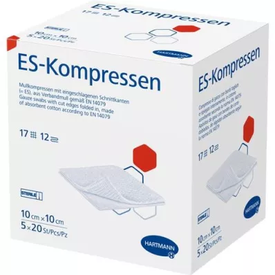 ES-KOMPRESSEN Steril 10x10 cm 12 times large pack, 5x20 pcs