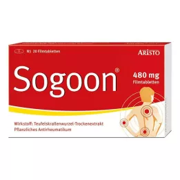 SOGOON 480 mg film-coated tablets, 20 pcs