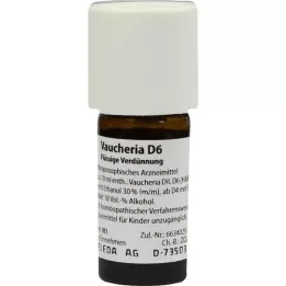 VAUCHERIA D 6 Dilution, 20 ml