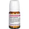 ACTAEA SPICATA D 4 tablets, 80 pcs