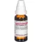 ARUM TRIPHYLLUM D 12 Dilution, 20 ml