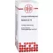 BERBERIS D10 Dilution, 20mL