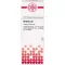 BERBERIS D 5 Dilution, 20 ml