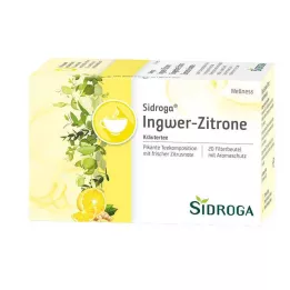 SIDROGA Wellness Ginger-Lemon Tea Filter Bags, 20X2.0 g
