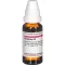 GRAPHITES C 6 Dilution, 20 ml