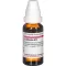 LEPTANDRA D12 Dilution, 20mL