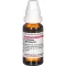 LEVISTICUM OFFICINALIS D 4 Dilution, 20mL