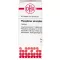 PHOSPHORUS AMORPHUS D 10 tablets, 80 pcs