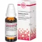 RAPHANUS SATIVUS D 4 Dilution, 20mL