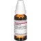 ZINGIBER Mother tincture, 20 ml