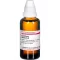 LEVISTICUM OFFICINALIS Mother tincture, 50 ml