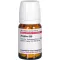 ZINGIBER D 30 tablets, 80 pcs