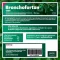 BRONCHOFORTON Ointment, 40 g