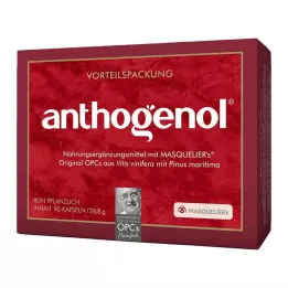 OPC ORIGINAL Masqueliers Anthogenol capsules, 90 pcs