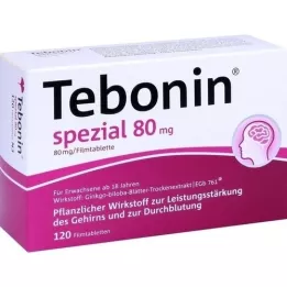 TEBONIN ειδικά επικαλυμμένα με λεπτό υμένιο δισκία 80 mg, 120 τεμ