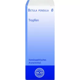 BETULA PENDULA Hanosan mother tincture, 20 ml