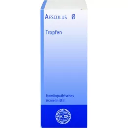 AESCULUS Hanosan mother tincture, 20 ml