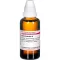 INULA HELENIUM Mother tincture, 50 ml