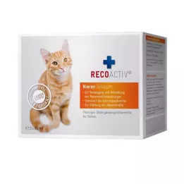 RECOACTIV Kidney Tonic for Cats Treatment Pack, 3X90ml