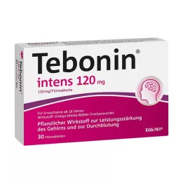 TEBONIN intens 120 mg film-coated tablets, 30 pcs