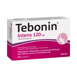 TEBONIN intens 120 mg film-coated tablets, 60 pcs