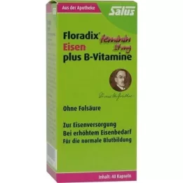 FLORADIX Cápsulas de vitaminas de hierro más B, 40 pz