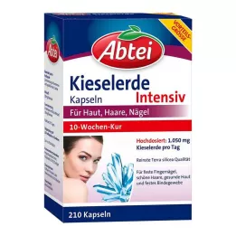ABTEI Silica capsules, 210 pcs