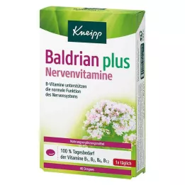 KNEIPP Valerian plus nerve vitamins dragees, 40 pcs