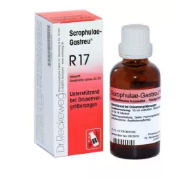 SCROPHULAE-Gastreu R17 mix, 22 ml