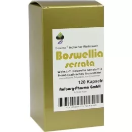 BOSWELLIA SERRATA Bioxera capsules, 120 pcs