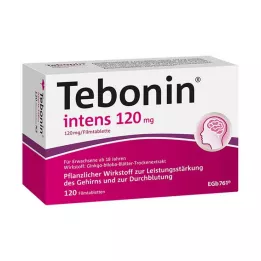 TEBONIN intens 120 mg film-coated tablets, 120 pcs