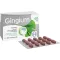 GINGIUM 40 mg film -coated tablets, 120 pcs