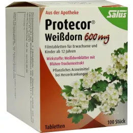 PROTECOR Windthorn 600 mg film -coated tablets, 100 pcs