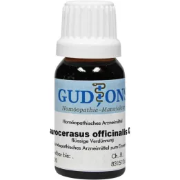 LAUROCERASUS OFFICINALIS Q 2 solution, 15 ml