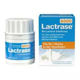 LACTRASE 6,000 FCC capsules, 60 pcs