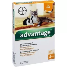 ADVANTAGE 40 mg solution for small cats/small pet rabbits, 4X0.4 ml