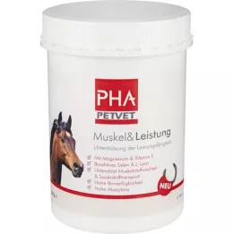 PHA Muscle &amp; Performance powder for horses, 850 g