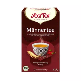 YOGI TEA Mens tea organic filter bag, 17X1.8 g