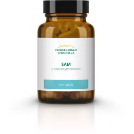 SAM S-ADENOSYLMETHIONIN capsules, 60 pcs