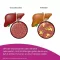 BEH liver capsules, 90 pcs