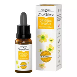 BACHBLÜTEN Murnauers Original Drops, 10 ml