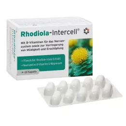 RHODIOLA-INTERCELL capsules, 60 pcs