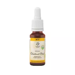 BACHBLÜTEN No.7 Chestnut Bud Organic, 20ml